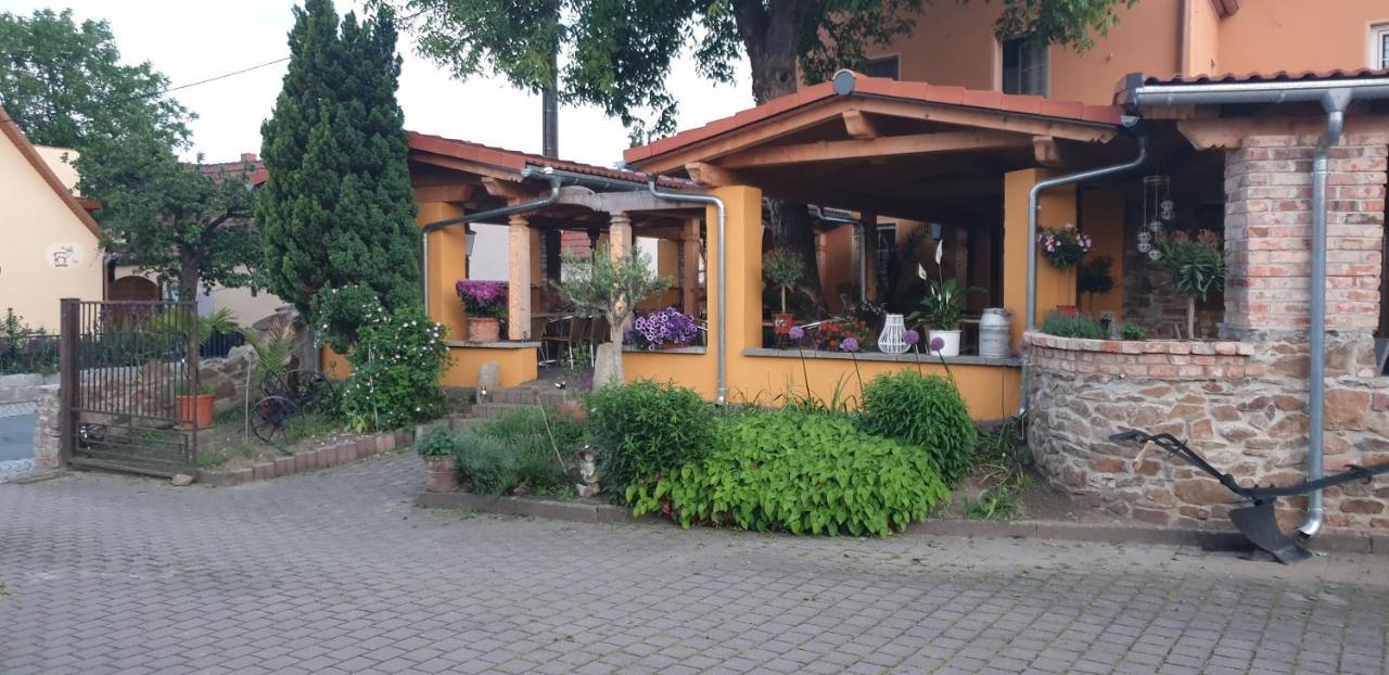 Hotel Und Pension Al Dente Nunchritz Kültér fotó